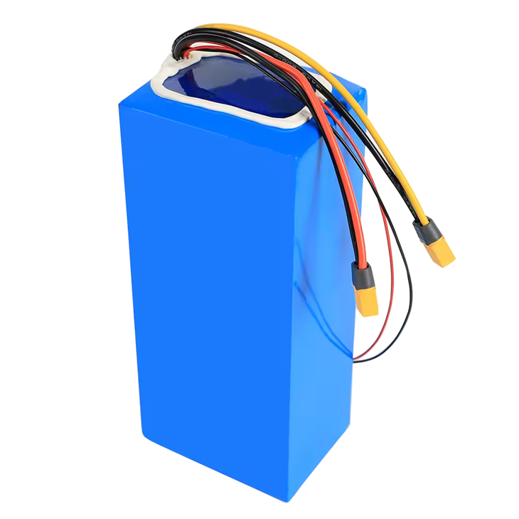 48V 10Ah Electric Scooter Lithium-Ion Battery high quality